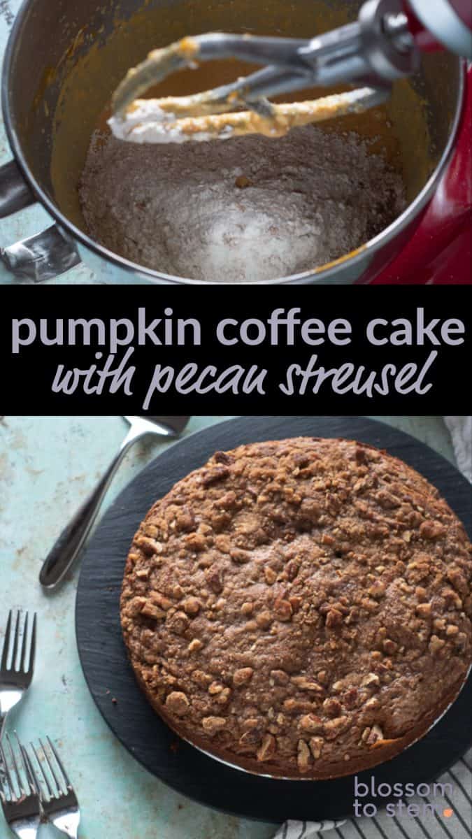 Pumpkin Coffee Cake with Pecan Streusel