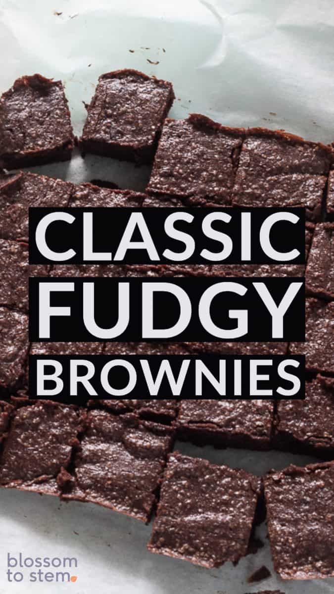 Classic Fudgy Beownies