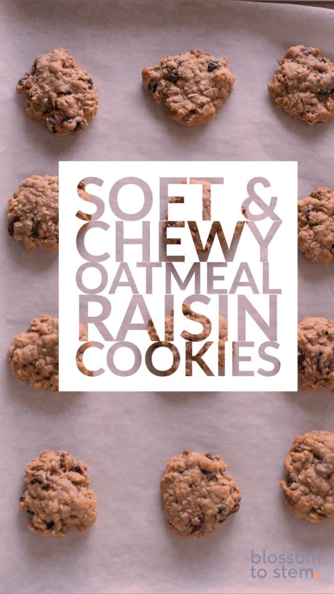 Soft & Chewy Oatmeal Raisin Cookies