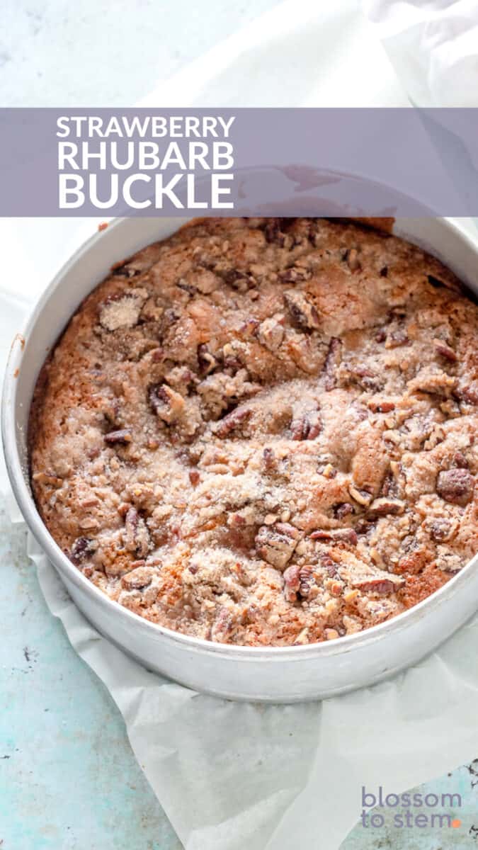 Strawberry Rhubarb Buckle