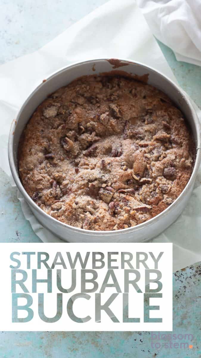 Strawberry Rhubarb Buckle