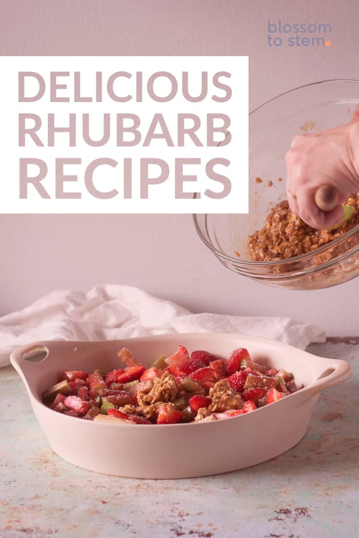 Delicious Rhubarb Recipes