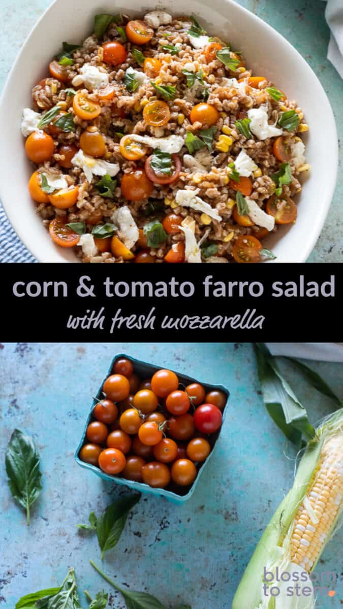 Corn & Tomato Farro Salad with Fresh Mozzarella