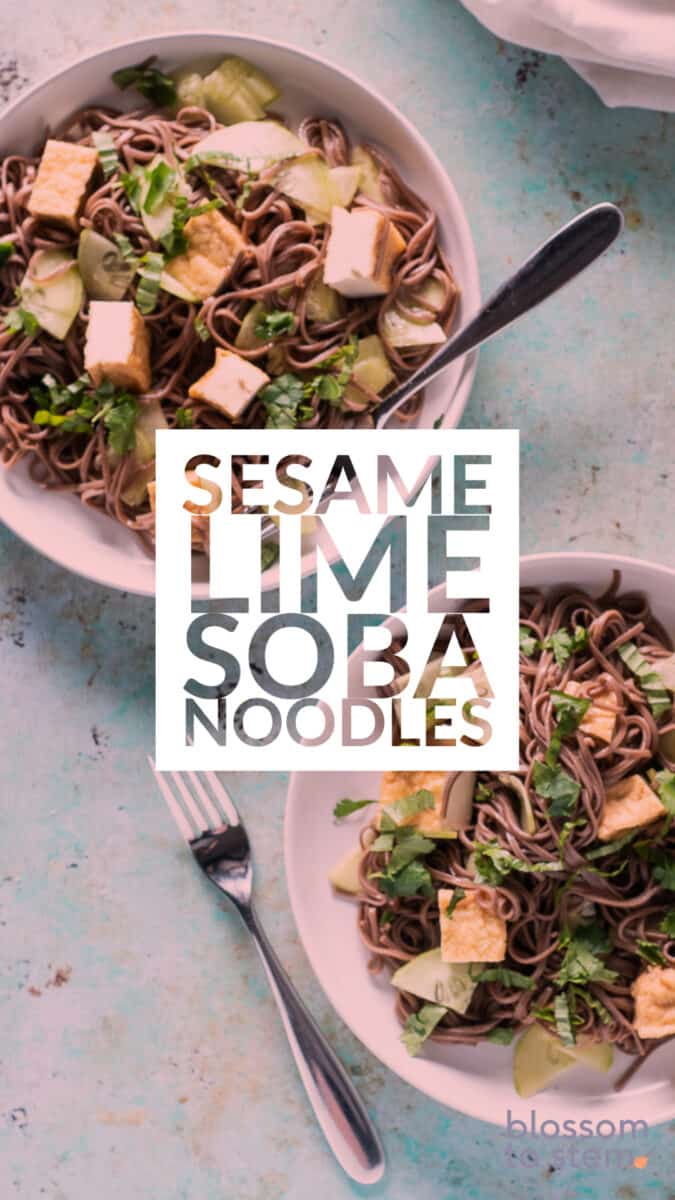 Sesame Lime Soba Noodles, cold and simple Blossom to Stem
