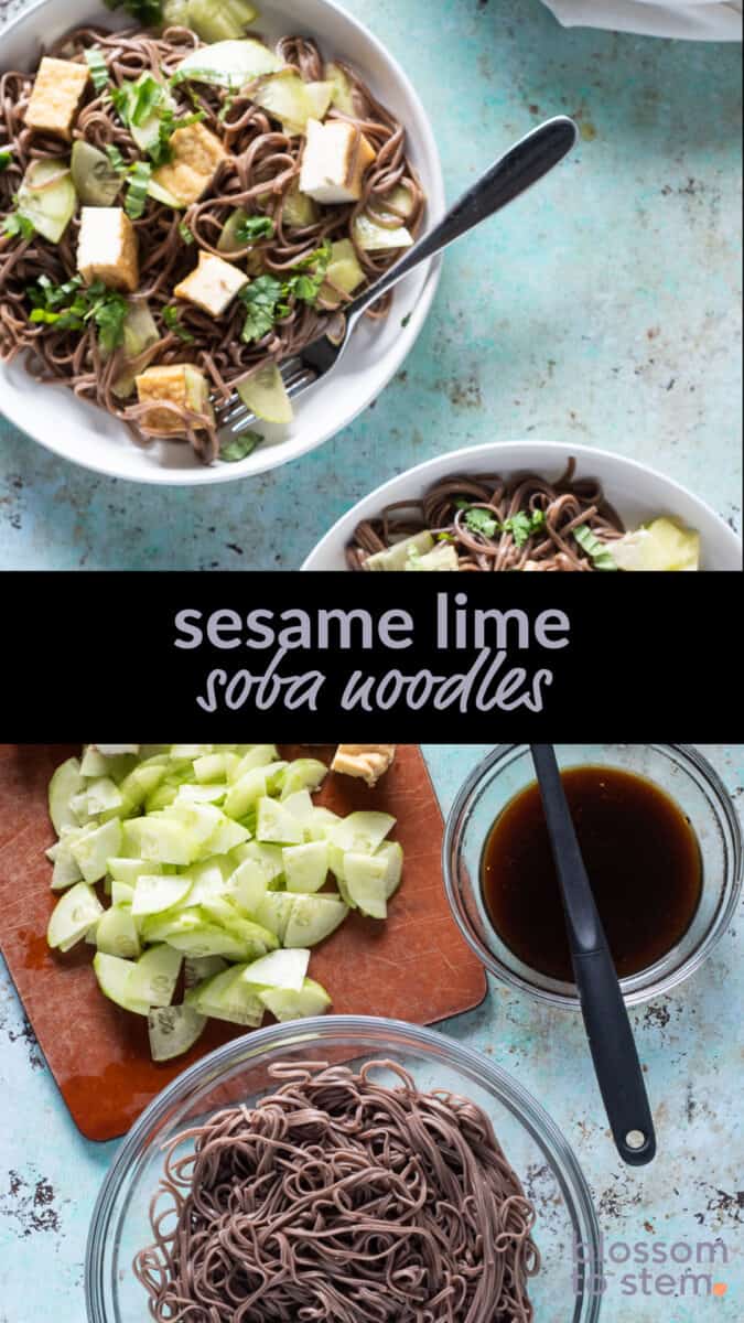 Sesame Lime Soba Noodles, cold and simple Blossom to Stem