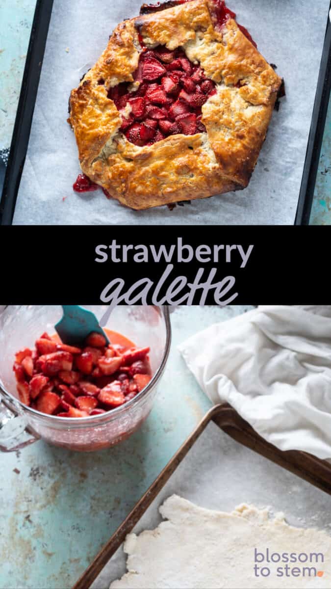 Strawberry Galette