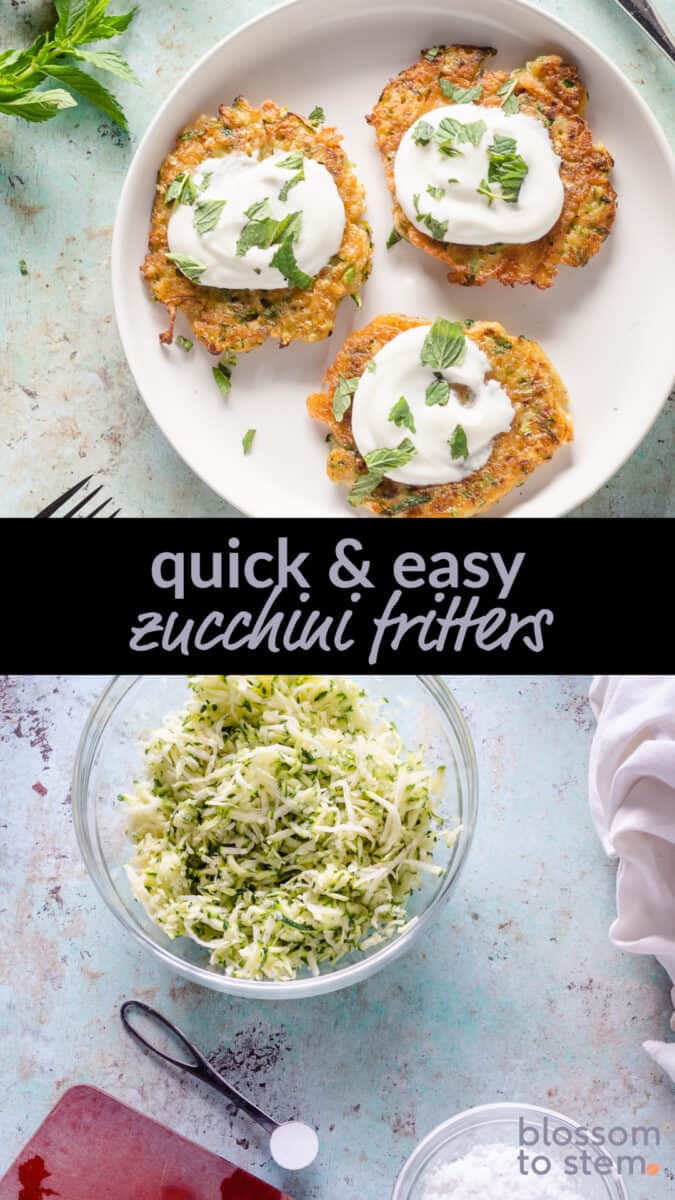 Quick & Easy Zucchini Fritters