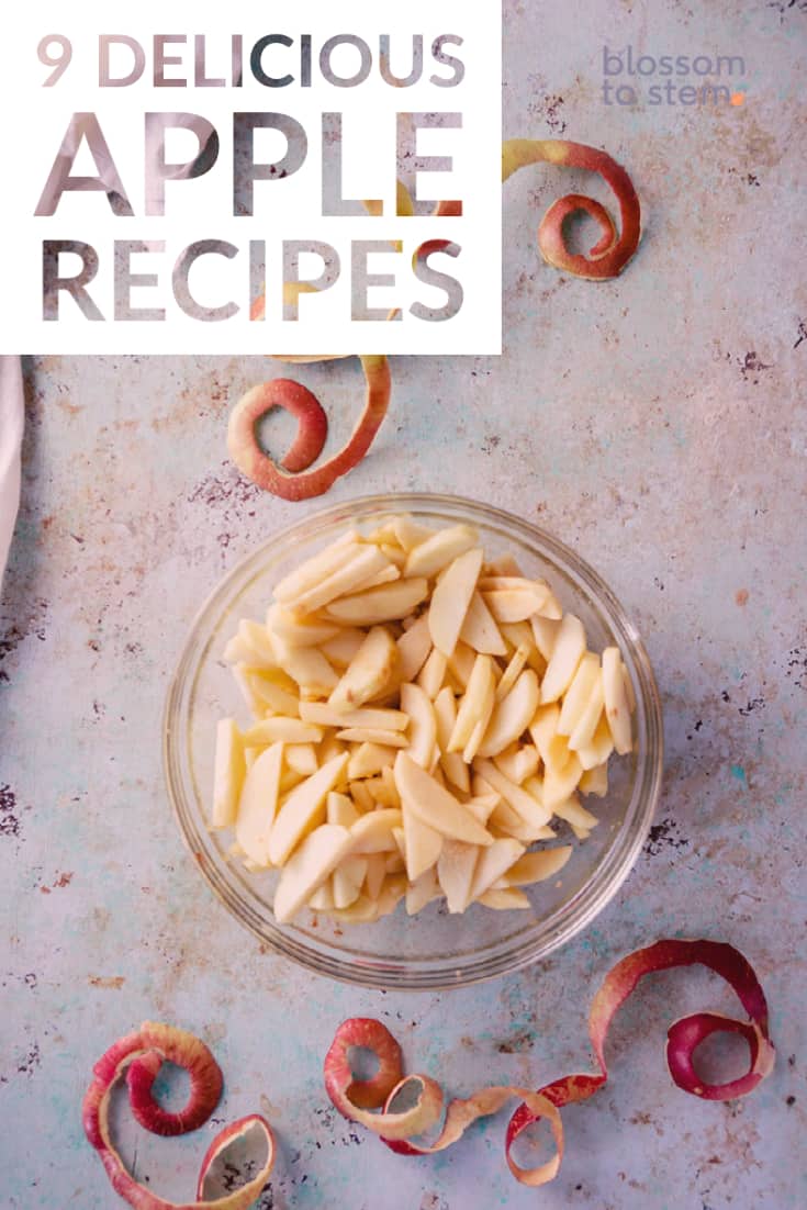 9 Delicious Apple Recipes