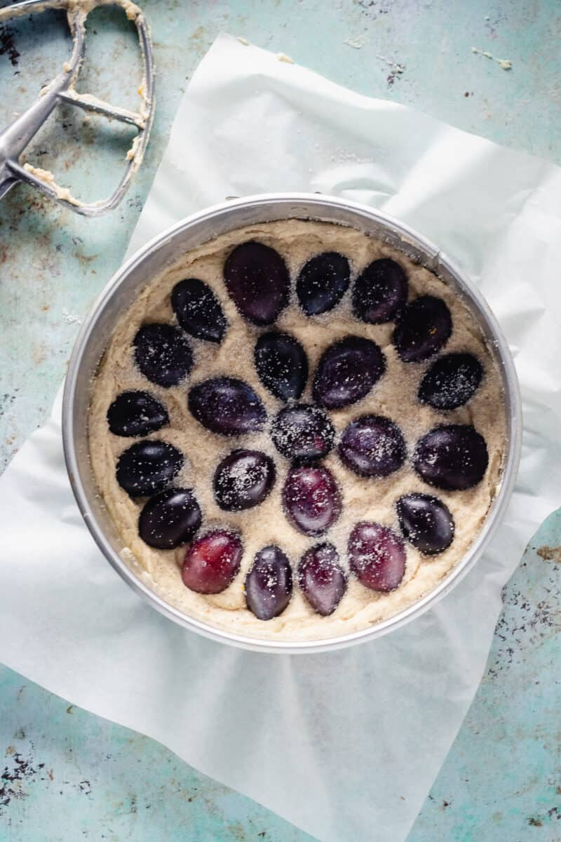 Plum halves pressed into almond torte batter