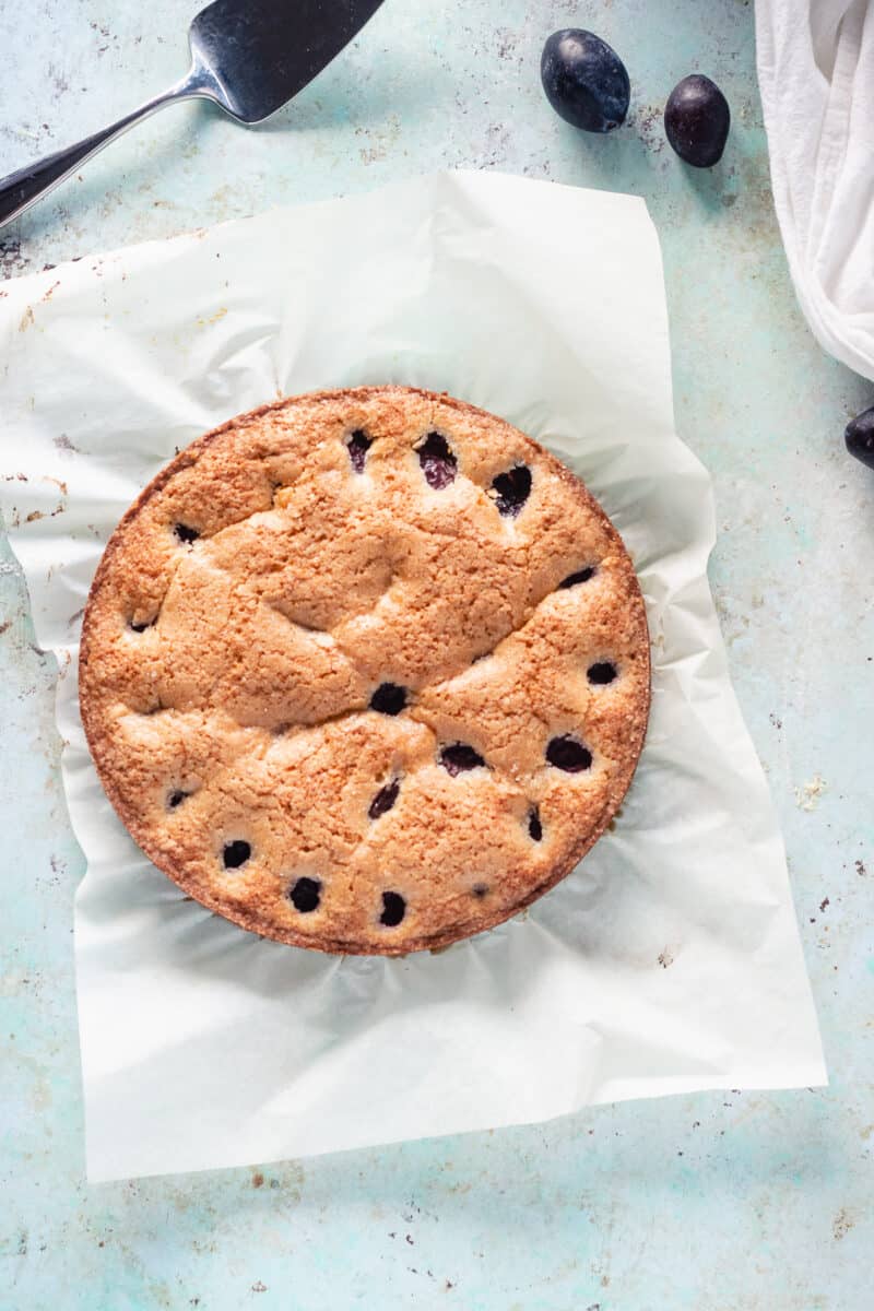 Almond Anise Plum Torte on parchment paper, unsliced