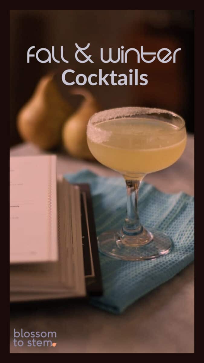 Fall & Winter Cocktails