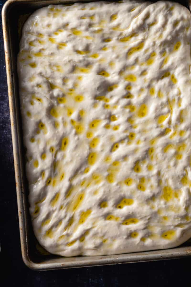 Dimpled focaccia dough in a pan