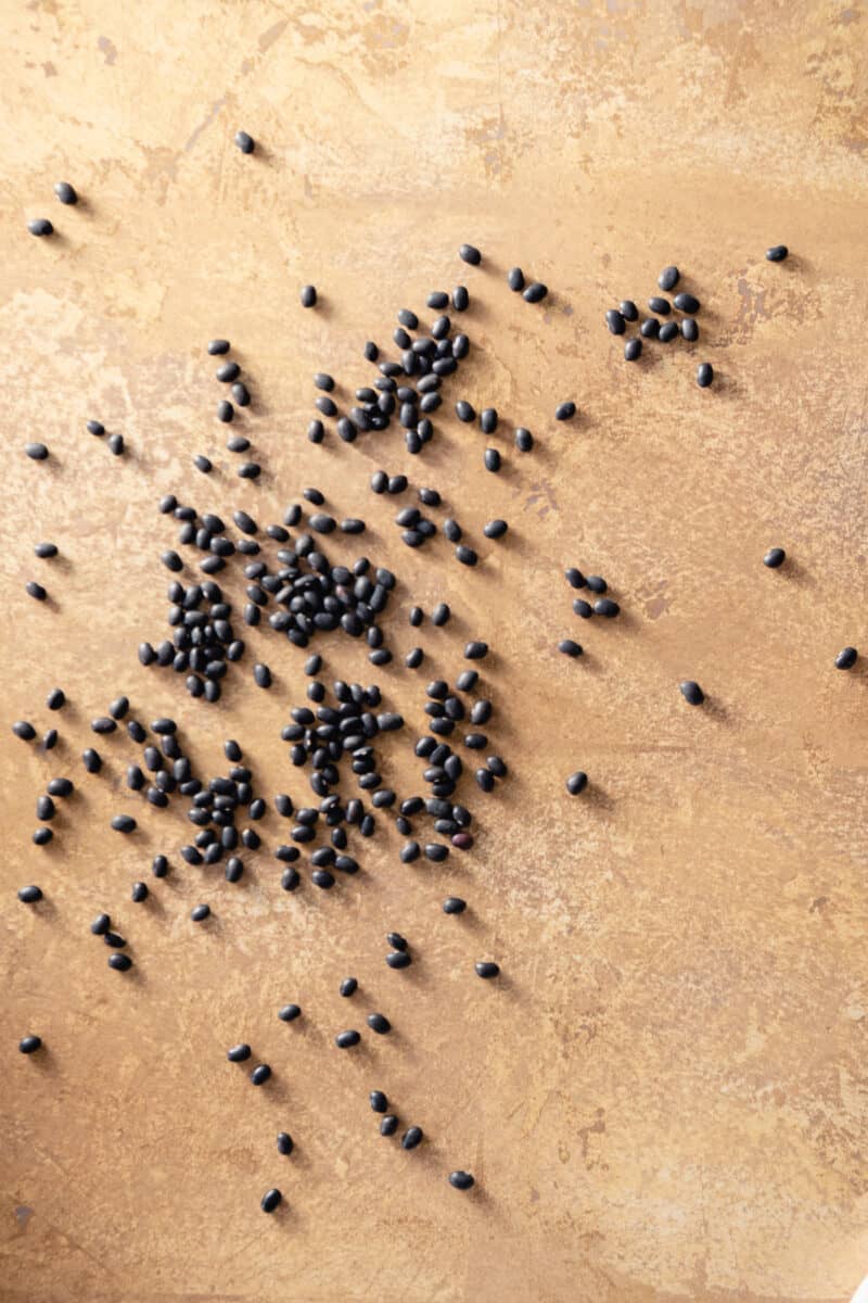 Black beans scattered on a counter