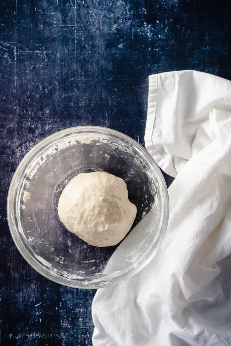 Naan dough, before rise