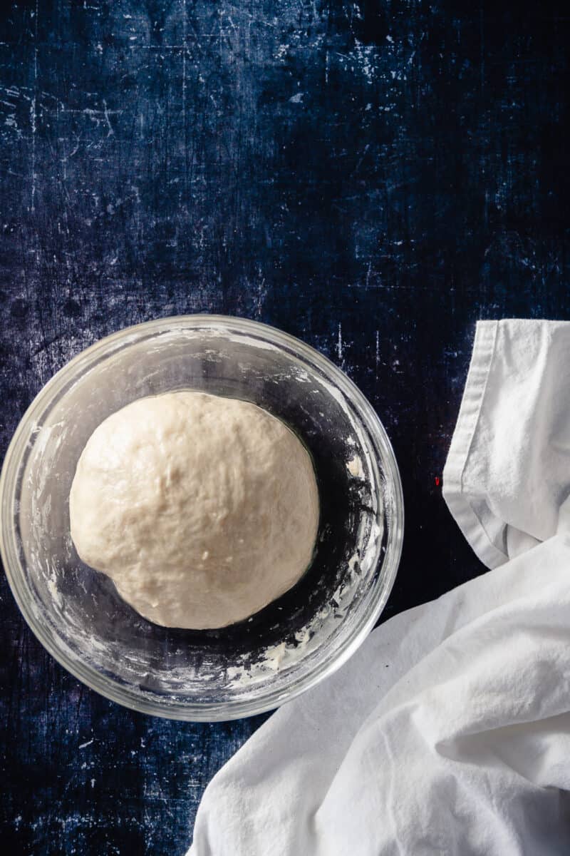 Naan dough, fully risen