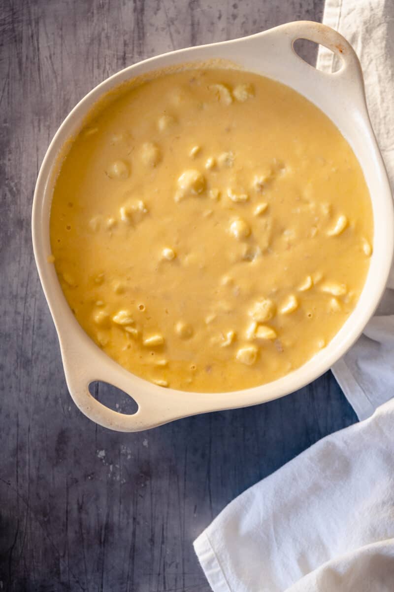 Pasta in cheese sauce in a baking dish