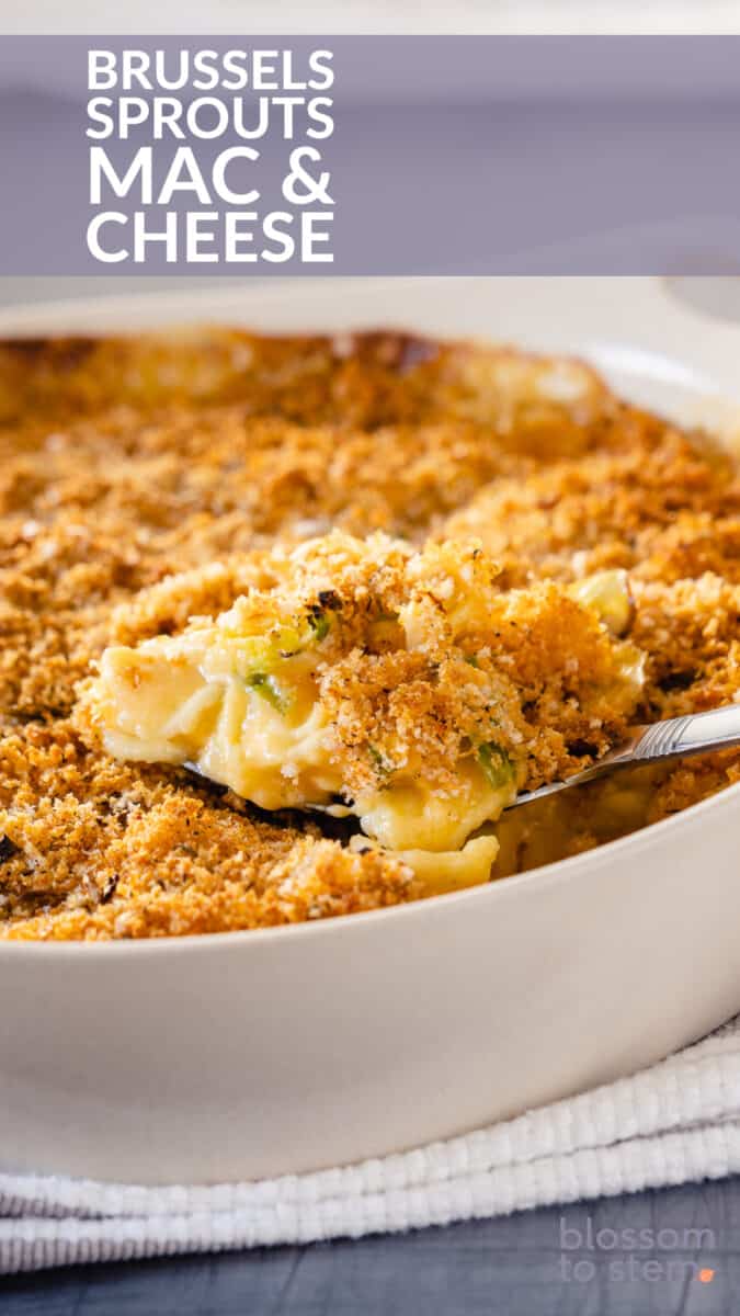 Brussels Sprouts Mac & Cheese