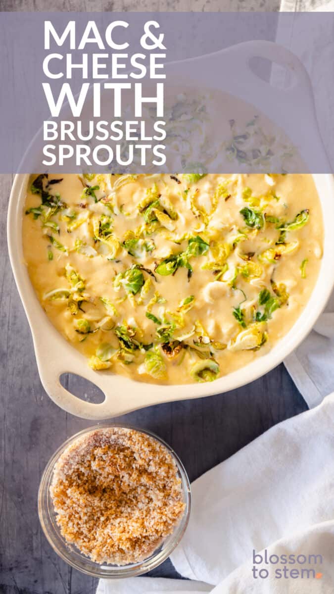 Mac & Cheese with Brussels Sprouts