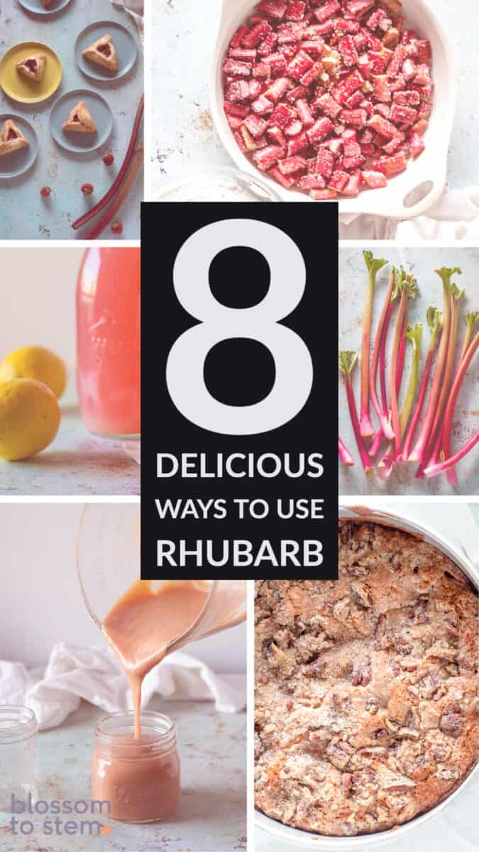 8 delicious ways to use rhubarb