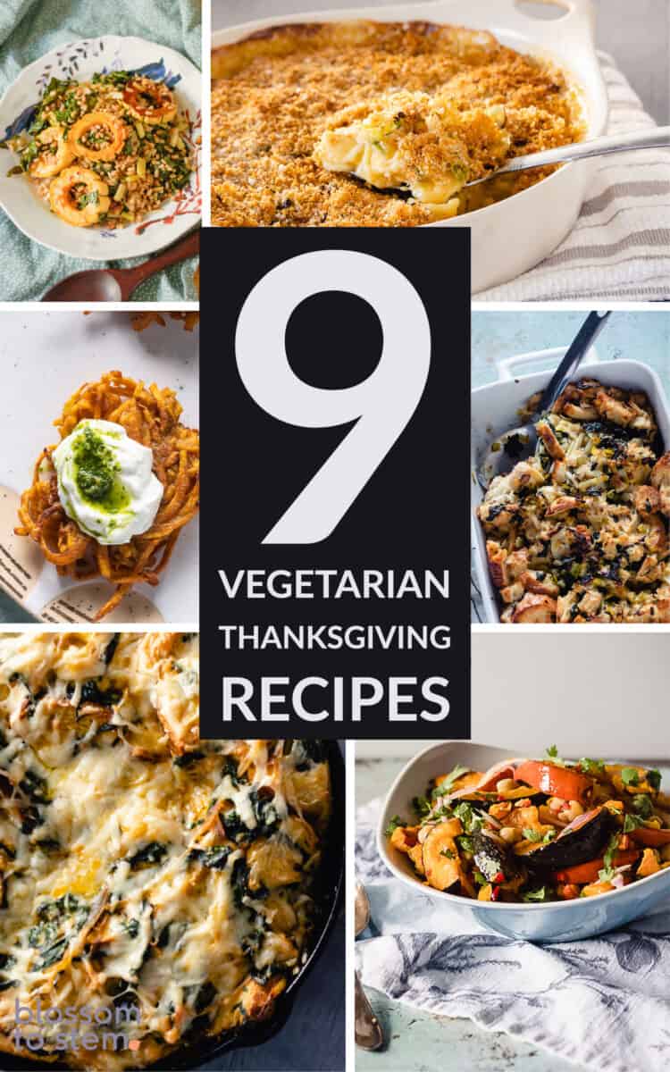 9 Vegetarian Thanksgiving Recipes