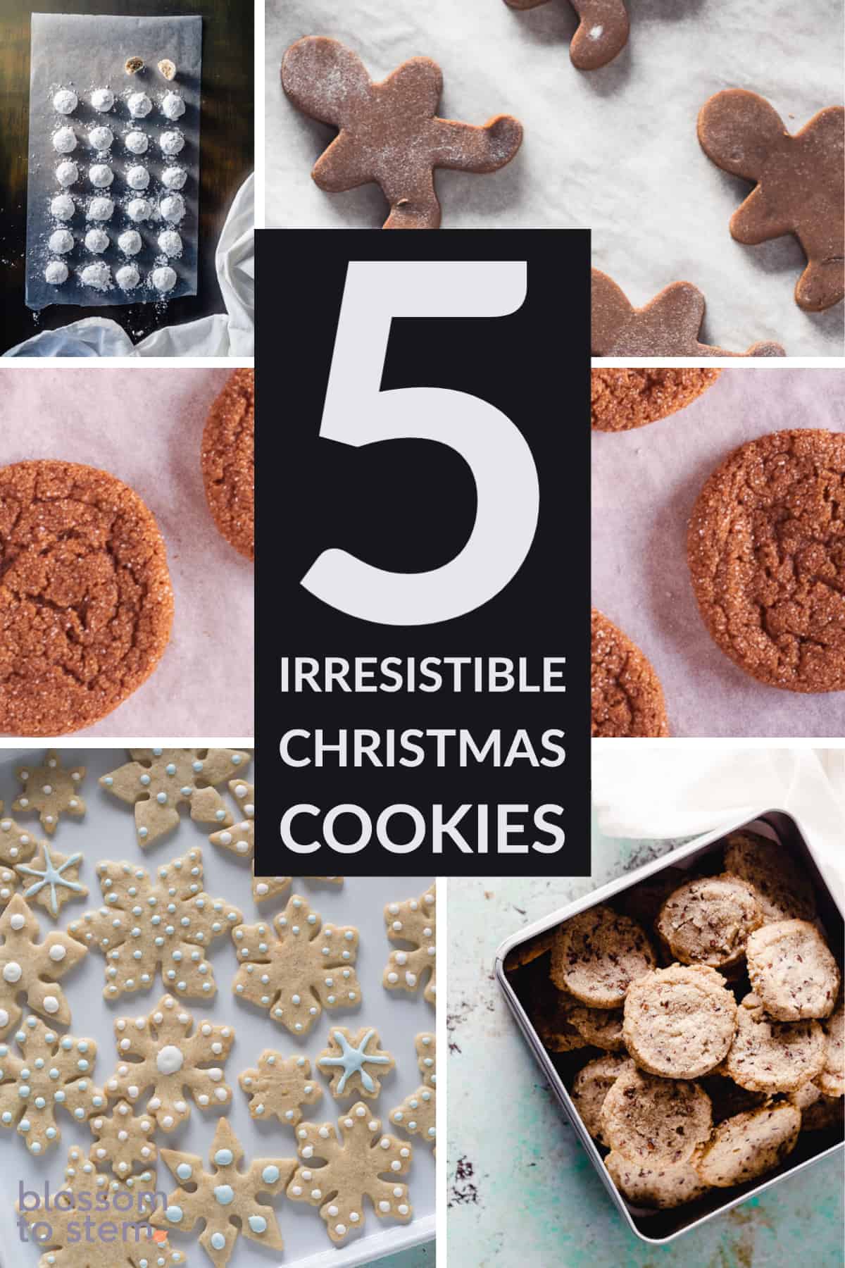 5 Irresistible Christmas Cookie Recipes - Blossom to Stem 