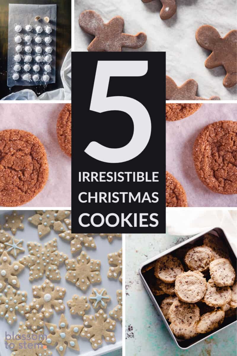 5 Irresistible Christmas Cookies